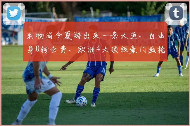 利物浦今夏游出来一条大鱼,自由身0转会费,欧洲4大顶级豪门疯抢