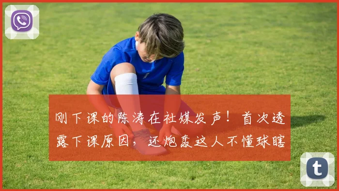 刚下课的陈涛在社媒发声！首次透露下课原因，还炮轰这人不懂球瞎掺和_球迷_主教练_中超